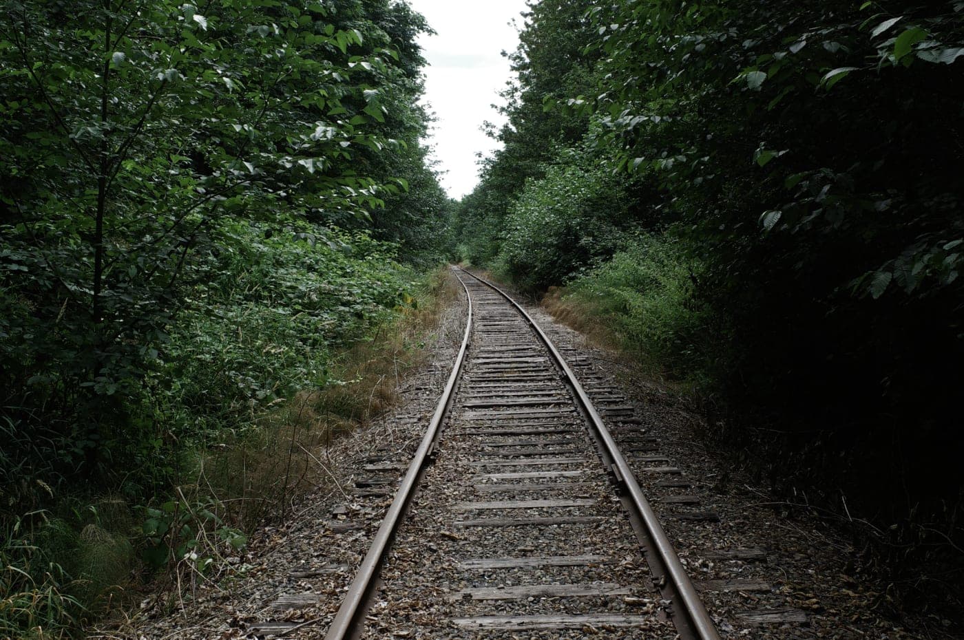 The Railroads.